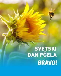 svetski dan pčela, pčele